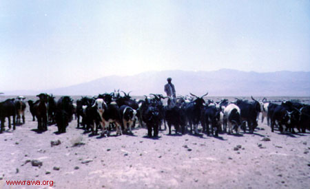 RAWA in drought-stricken villages of Herat