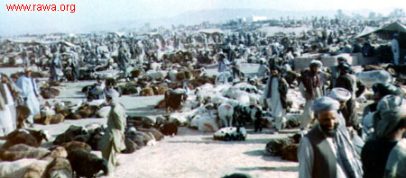 RAWA in drought-stricken villages of Herat