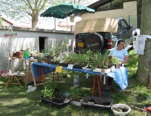 Fund raising in France