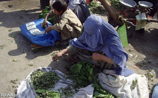 Kabul in gap of poverty and destitution